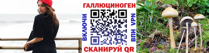 Псилоцибиновые грибы ЛСД площадка какой сайт Зеленоградск