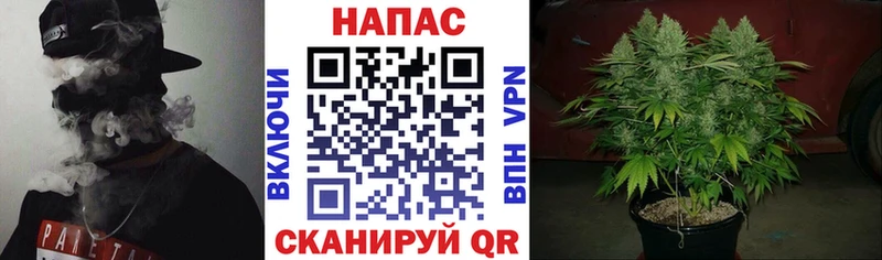 Шишки марихуана марихуана  где можно купить   Зеленоградск 